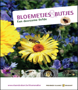 thumbnail - Bloemetjes en bijtjes: een duurzame liefde